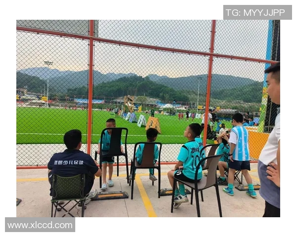 足球的魅力与激情如何在主持中完美展现与传递